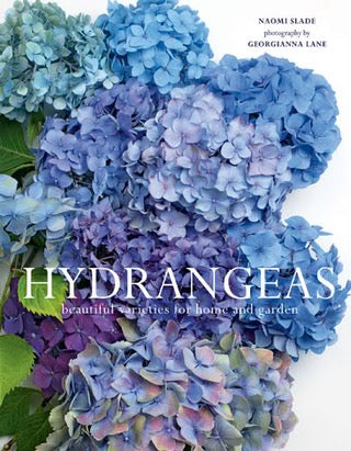 Hydrangeas - Naomi Slade