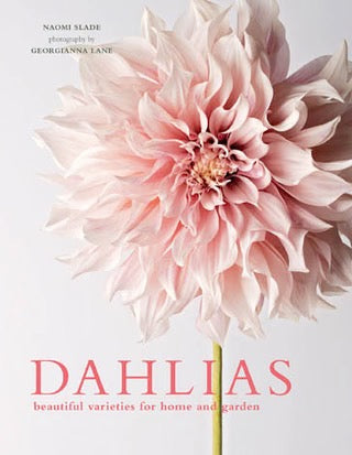 Dahlias - Naomi Slade