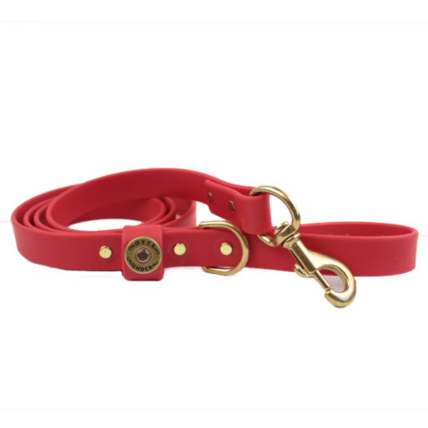 Over Under Water Dog Leash - Red