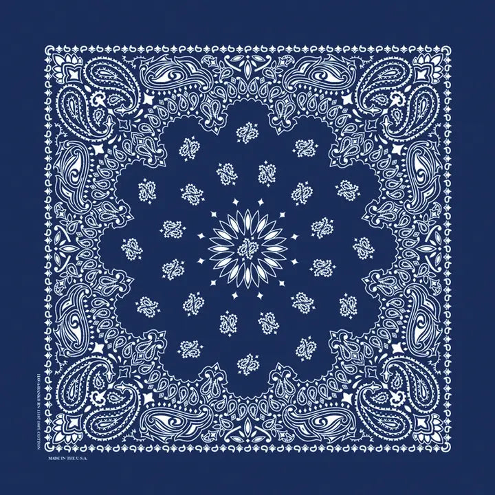 The Bandana Company Paisley Bandana 22”