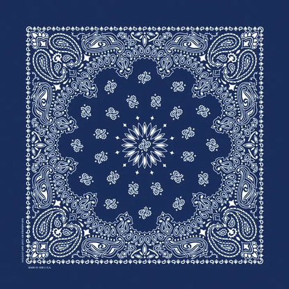 The Bandana Company Paisley Bandana 22”