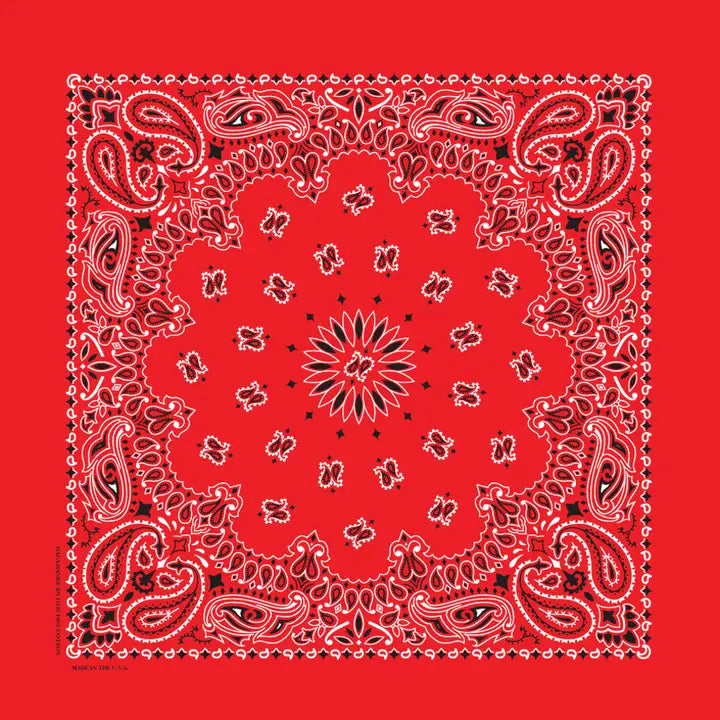 The Bandana Company Paisley Bandana 22”