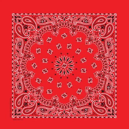 The Bandana Company Paisley Bandana 22”