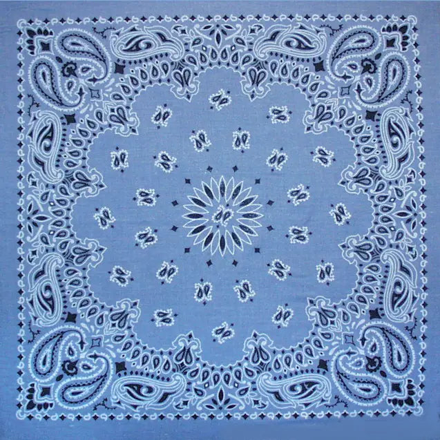 The Bandana Company Paisley Bandana 22”