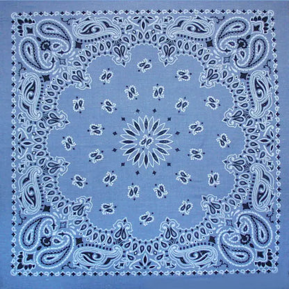 The Bandana Company Paisley Bandana 22”