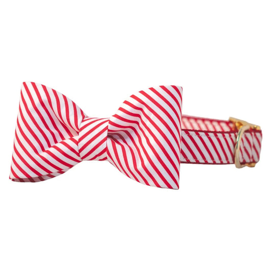 CLL Candy Cane Stripe Bow Tie Dog Collar RED/WHITE