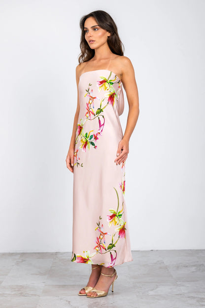 Lavender Brown Talia Maxi Dress - BLUSH/PINK COMBO