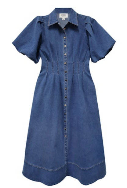 Fifteen Twenty Esme Midi Shirtdress - DENIM