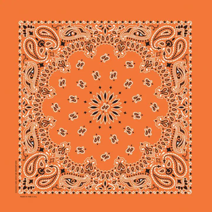 The Bandana Company Paisley Bandana 22”