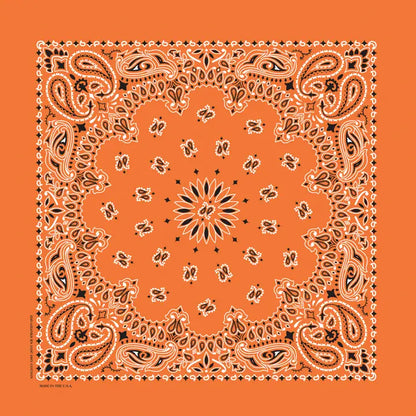 The Bandana Company Paisley Bandana 22”