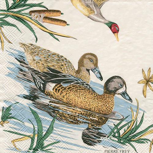 CAS Sologne Cocktail Napkin