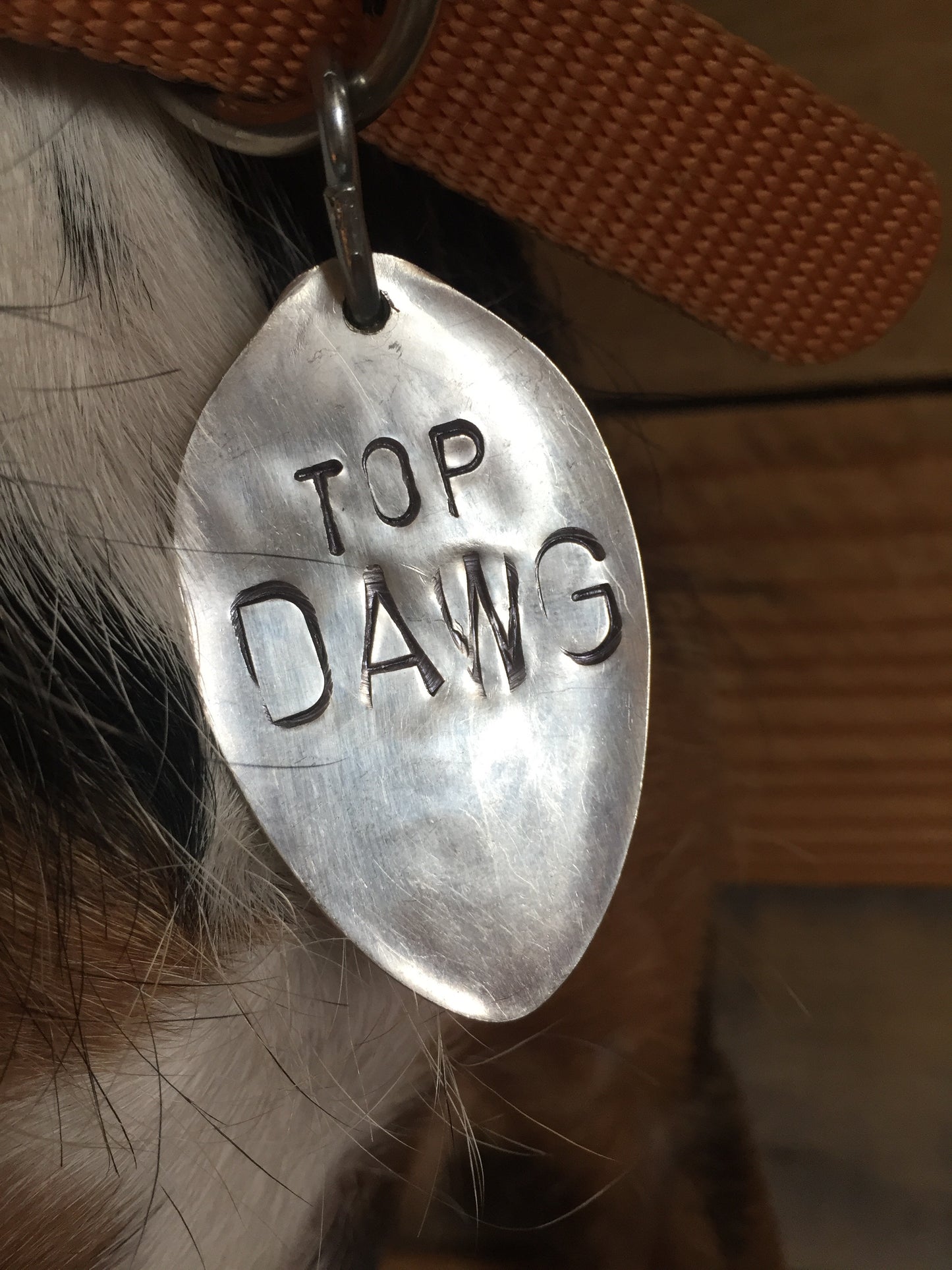 Hickory Neck Co Dog Tag