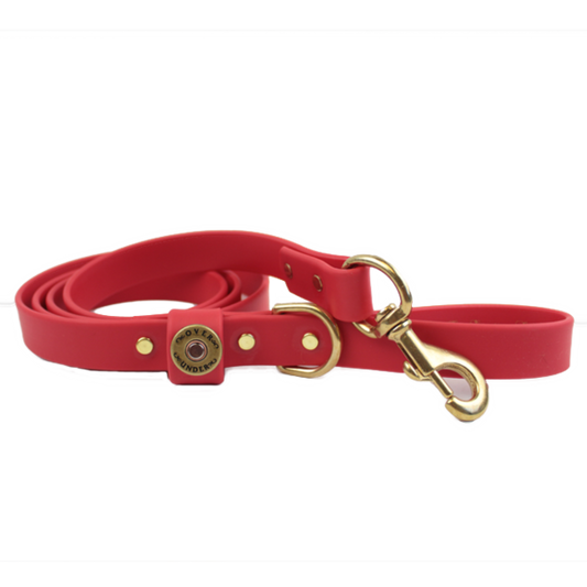 Over Under Water Dog Leash - Red